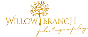 Willow Branch Photography