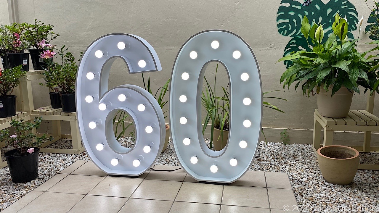 60th Birthday Light Up Letters